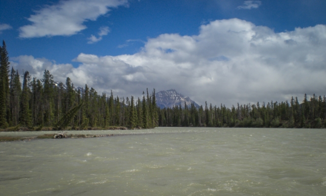 Whitewater rafting on the Athabasca river